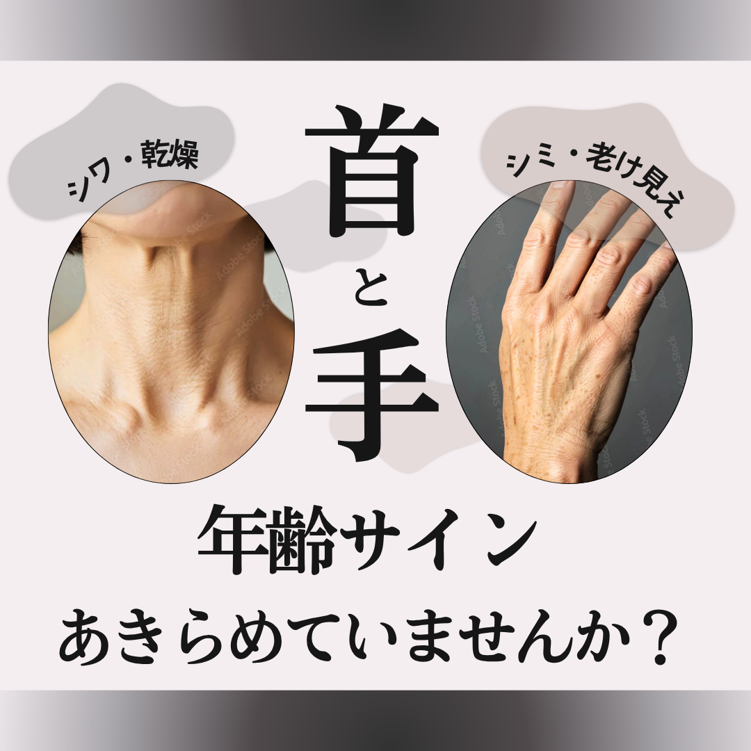 キャンペンバナー